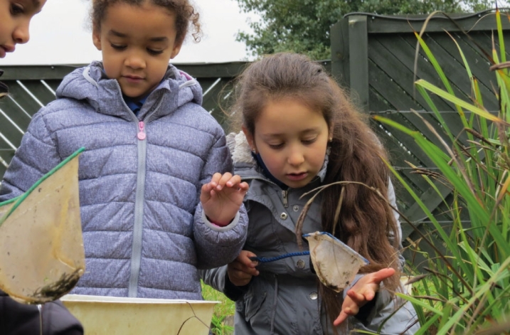 Pond-dipping-966.jpg